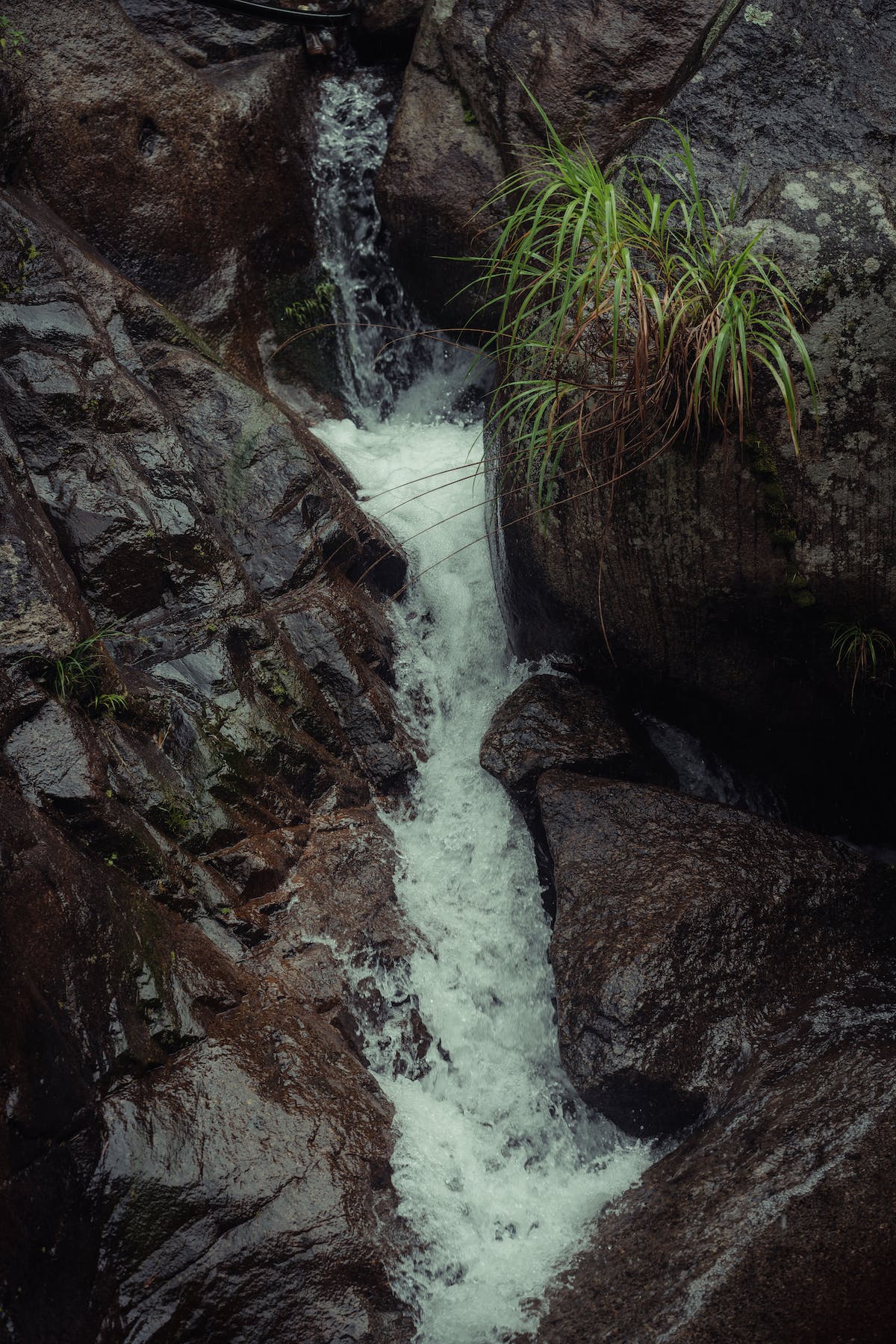 Water from the Rock: The Lord is Bringing Forth Waters