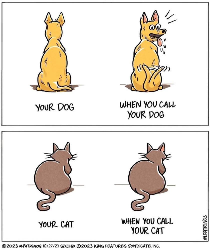 Cat and Dog's Obedience