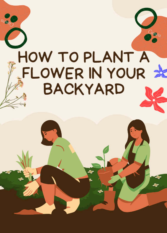 Creating a Nircle Story Book, How to Plant a Flower in Your BackYard #NircleStoryCreatorStyle