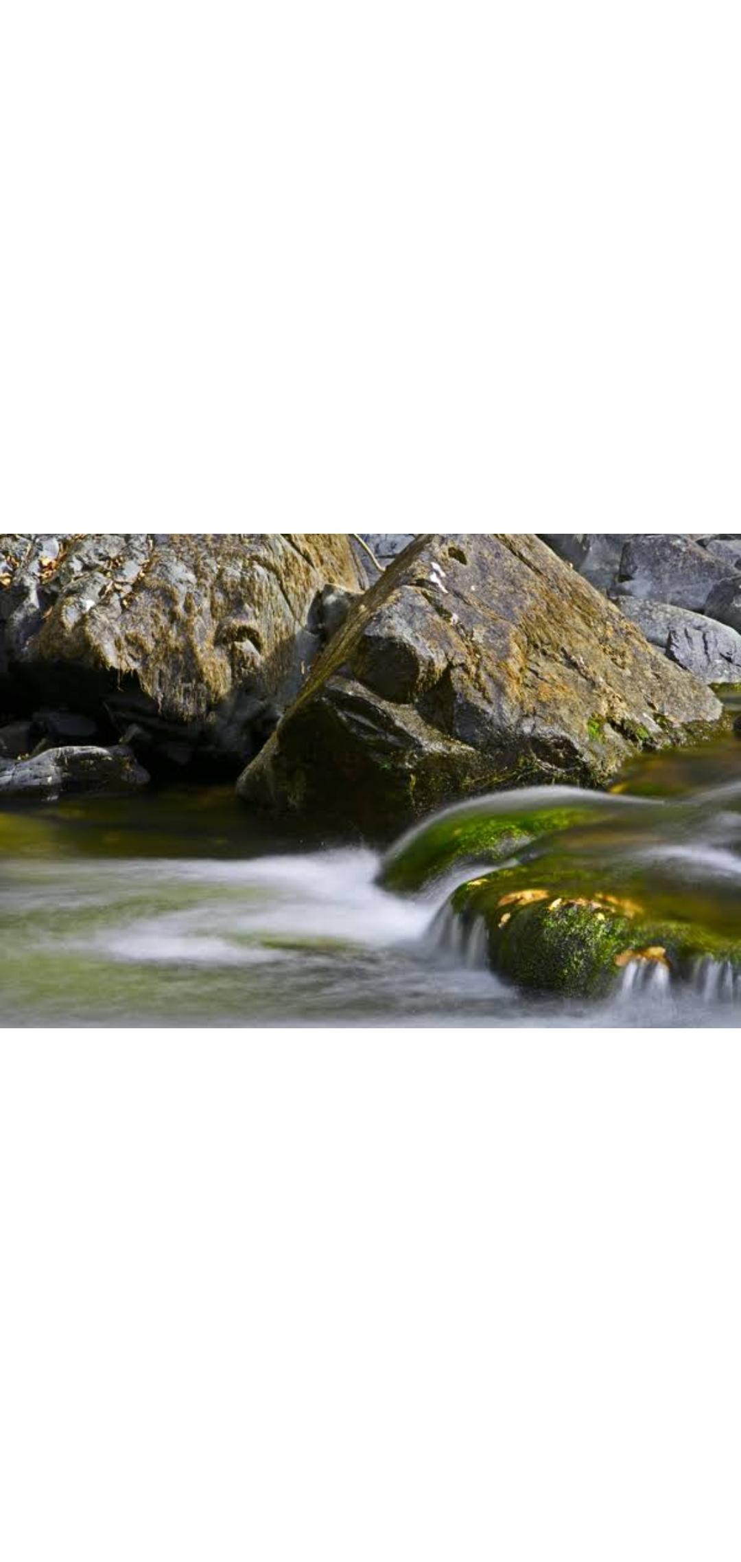 Rhythms in African Waters